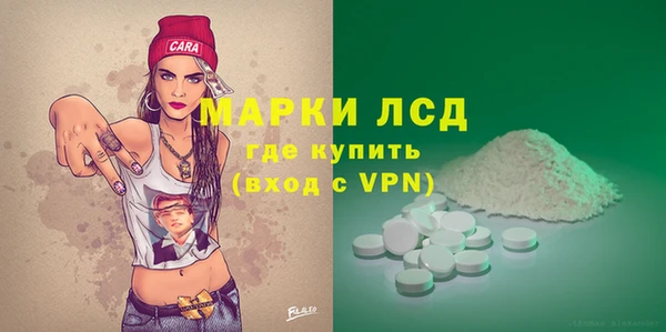 индика Володарск
