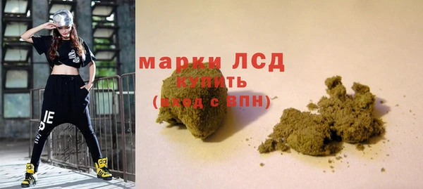 индика Володарск