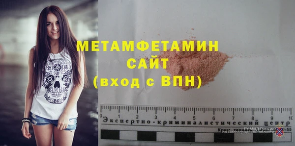 индика Володарск