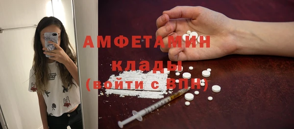 индика Володарск