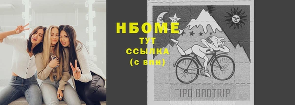 индика Володарск