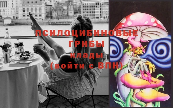 а пвп мука Верея