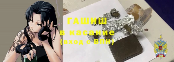 индика Володарск