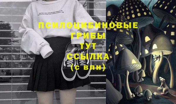 индика Володарск