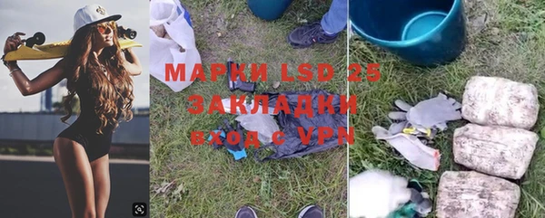 индика Володарск