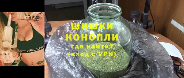 индика Володарск