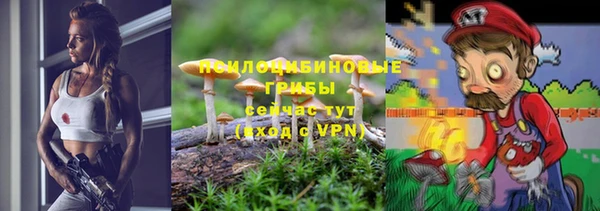 индика Володарск